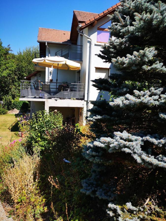 Villa Chene Rouge à Lapoutroie Extérieur photo